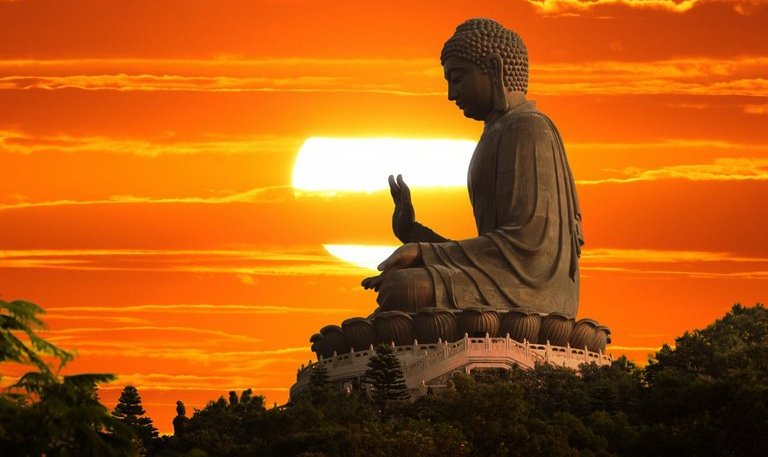 life coach counseling therapy emotional healing healer