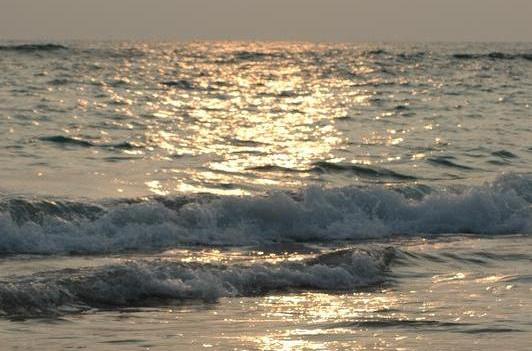 life coach counseling therapy emotional healing healer